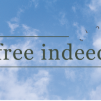 Logo for Free Indeed - McKinney