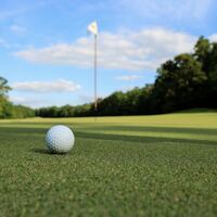 Logo for Pine Ridge Golf Group