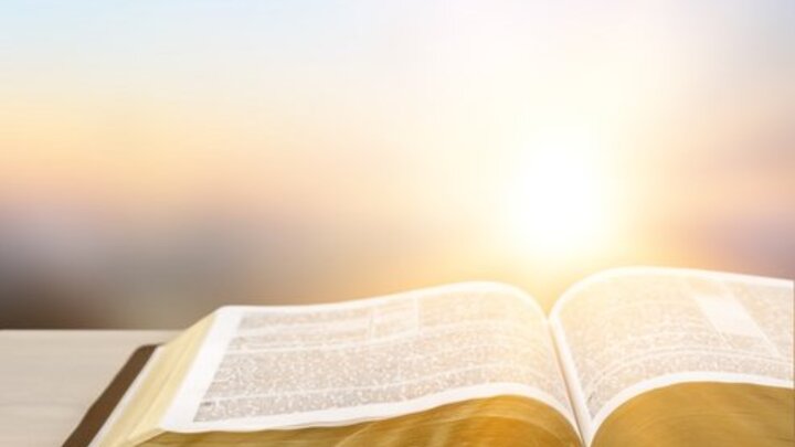 Disciple Makers: Disciple Makers - Bible Engagement Project - Learn logo