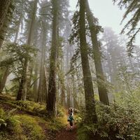 Logo for Eco Service Team