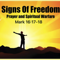 Logo for Signs of Freedom