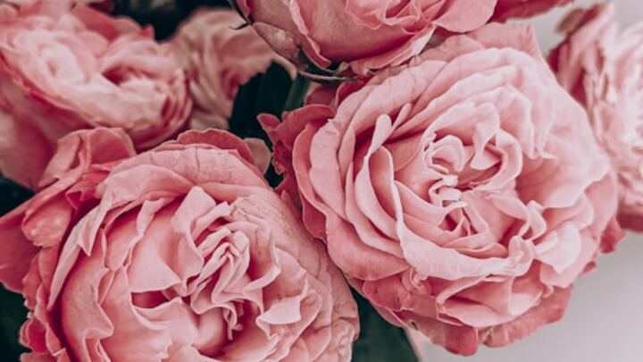 Logo for Leanna Catron | Godly Bride | OC | Singles, Dating or Engaged