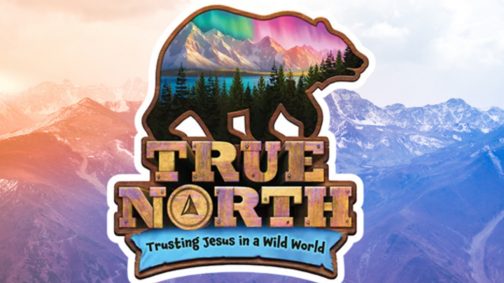 Logo for VBS Volunteer Team 2025!