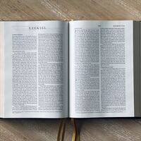 Logo for HBI | Ezekiel