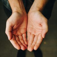 Logo for Barnabas Group