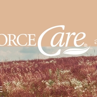 Logo for DivorceCare- starting 9/10/25!