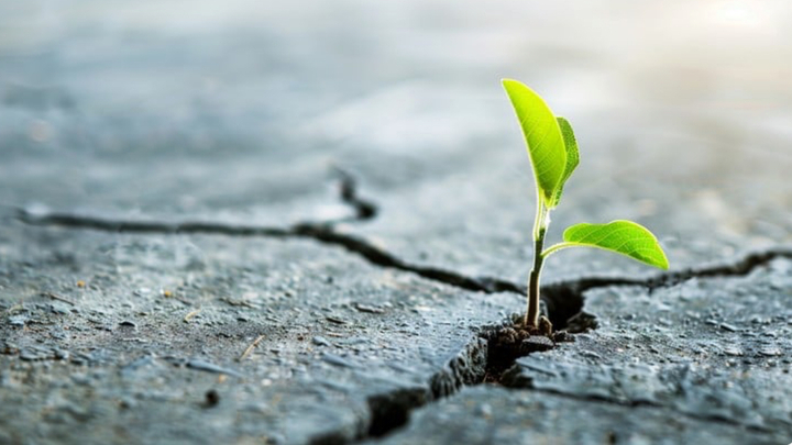 Logo for Spiritual Life Ministry