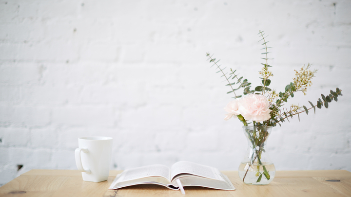 Logo for Seeking Sisters