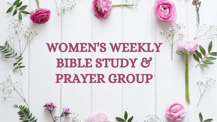 Logo for LIFEgroup // Ladies Group // Hilversum // English