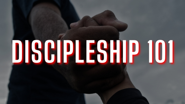 Life Groups