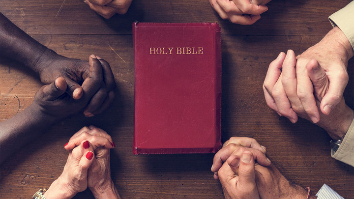 Logo for Ancianos/Elders