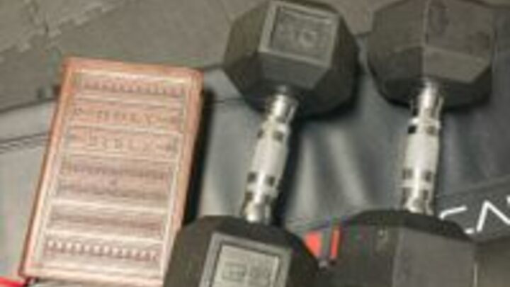 Logo for Bibles and Biceps