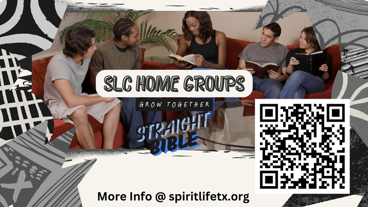 Logo for PLANO HOME GROUP