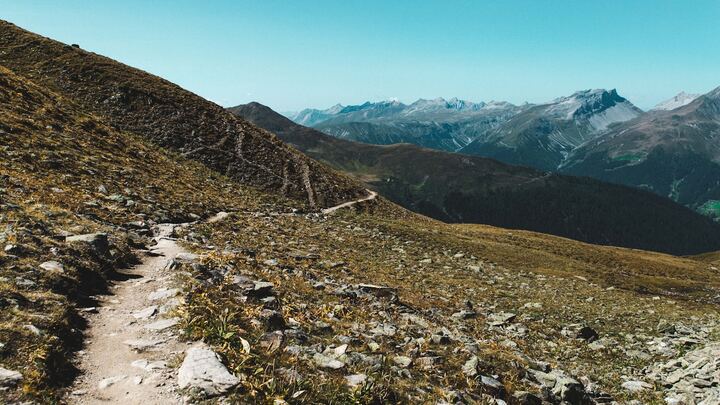 Logo for Pathfinders