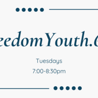 Logo for FreedomYouth.678
