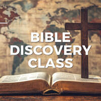 Logo for Bible Discovery