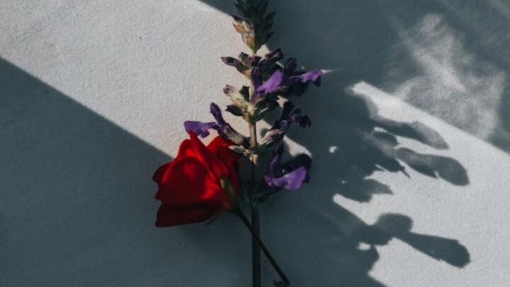 Logo for Grief Share