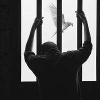 Logo for Prison Outreach Group
