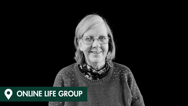 Logo for Monday Mustard Seeds - Online