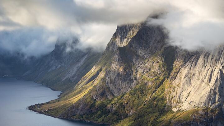 Logo for Young Adult Men - Impact