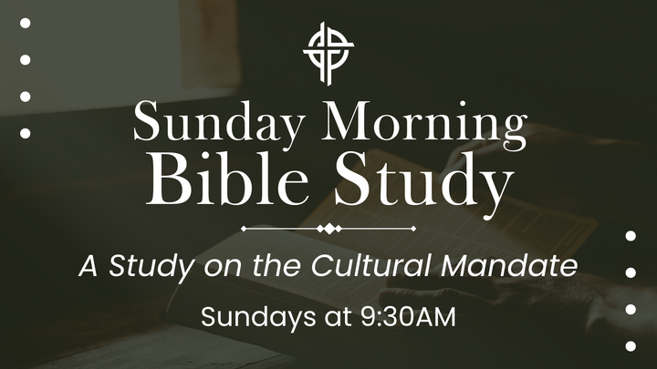 Bible Study - Sunday