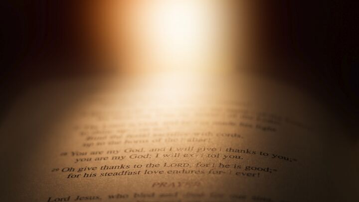 Logo for Adult LifeGroup: Ladies Lectio