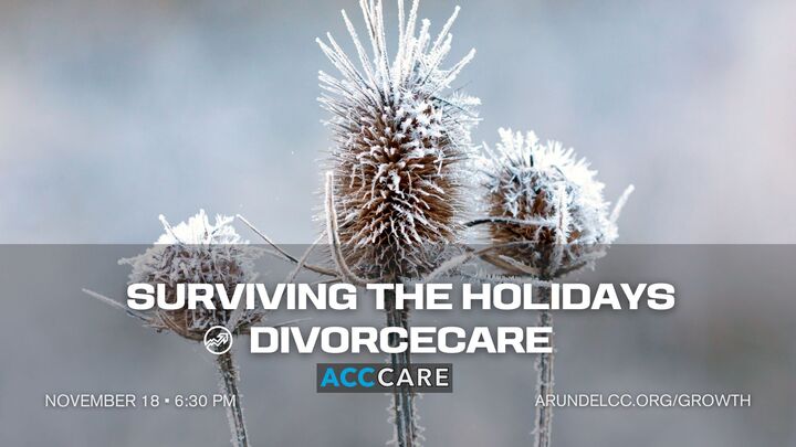 Logo for Surviving the Holidays Divorce Care