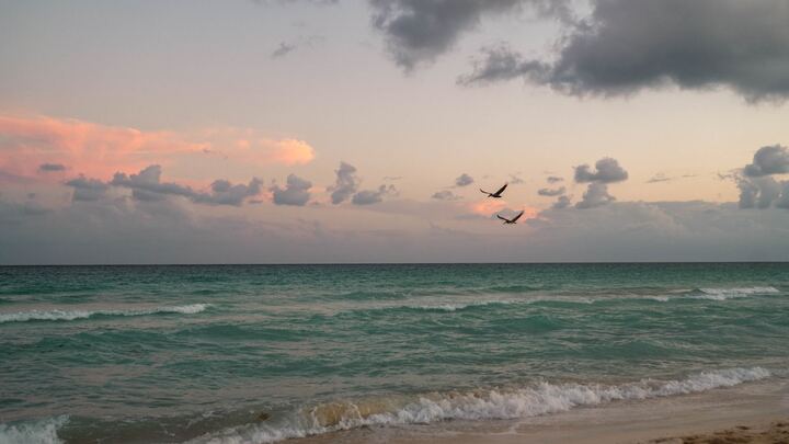 Logo for Drawing Closer to Jesus Christ