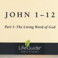 Logo for John 1-12 Choir Bible Study