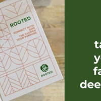 Logo for Rooted (Bear Worship Team)