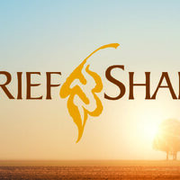 Logo for Grief Share (Fall 2025)