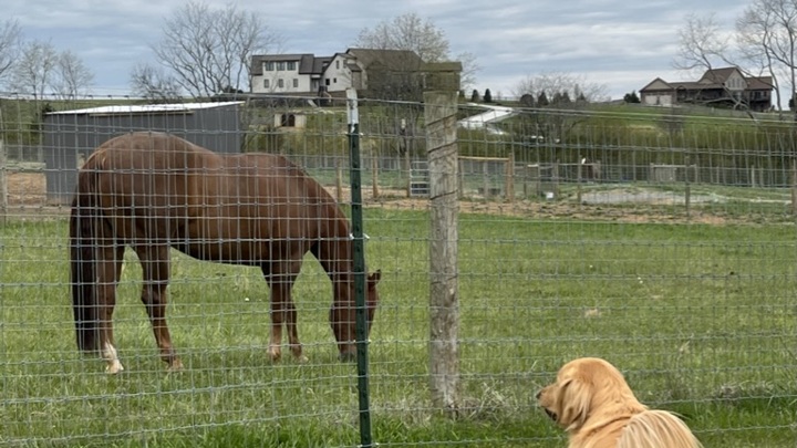 Logo for Womack Women's Group