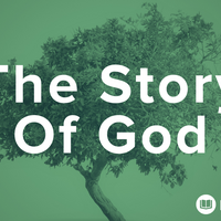 Logo for The Story of God: Fall 2025
