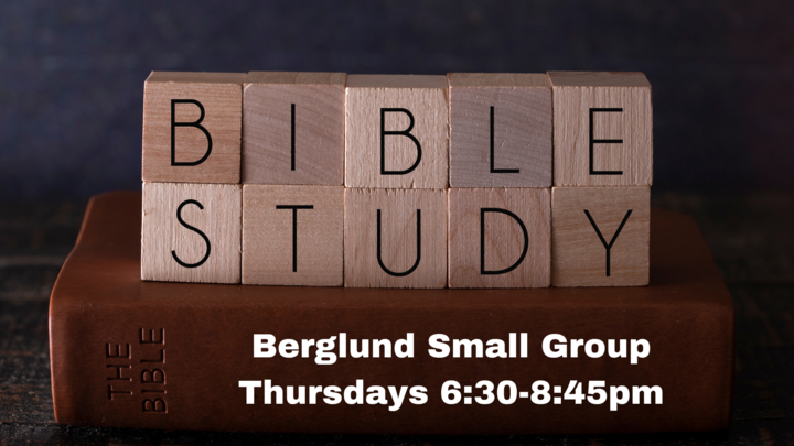 Logo for Berglund Small Group