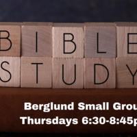 Logo for Berglund Small Group