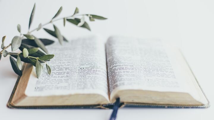 Logo for 10:30 - 1st Corinthians 11-16 - Joe Sarsfield and Andrew Hazley