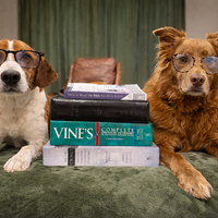 Logo for McKee Small Group