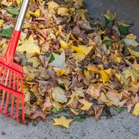 Logo for Adopt-a-Spot