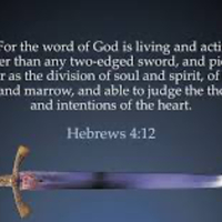 Logo for Verse by Verse