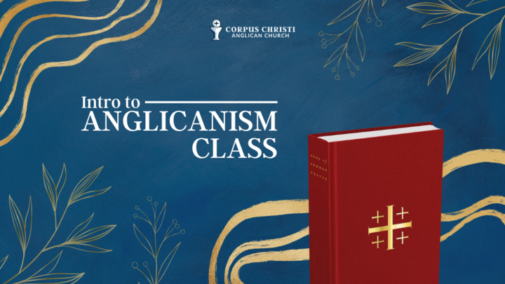 Logo for Intro to Anglicanism