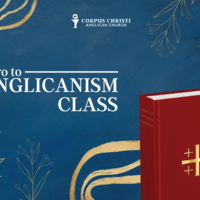 Logo for Intro to Anglicanism