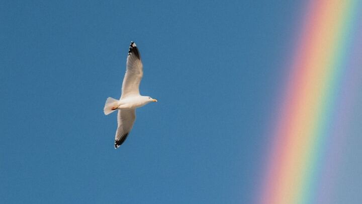 Logo for Stewardship