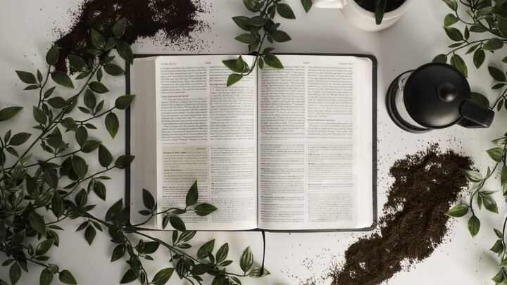 Logo for 7 week series with the Strongs