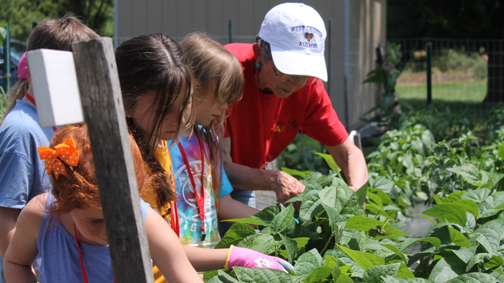 Logo for Care for Creation