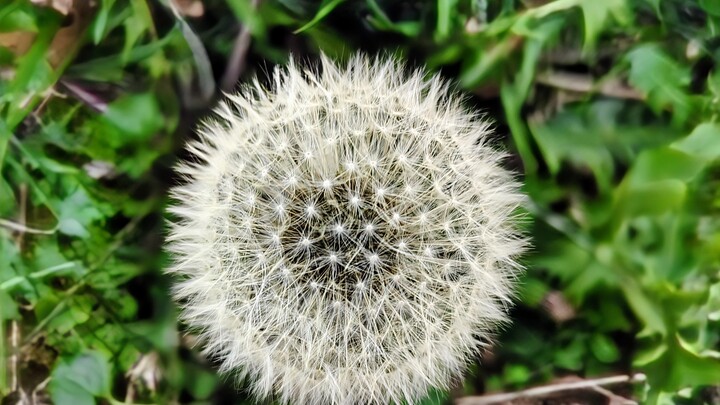 Logo for Overstreet Community Group