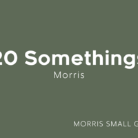 Logo for 20 Somethings