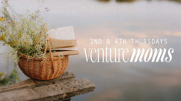 Logo for Venture Moms