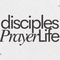 Logo for Sunday Fellowship Life Group