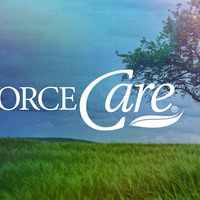 Logo for DivorceCare (Jan-Apr 2026)