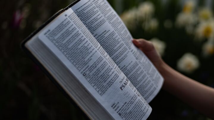 Logo for How to Read Your Bible 101